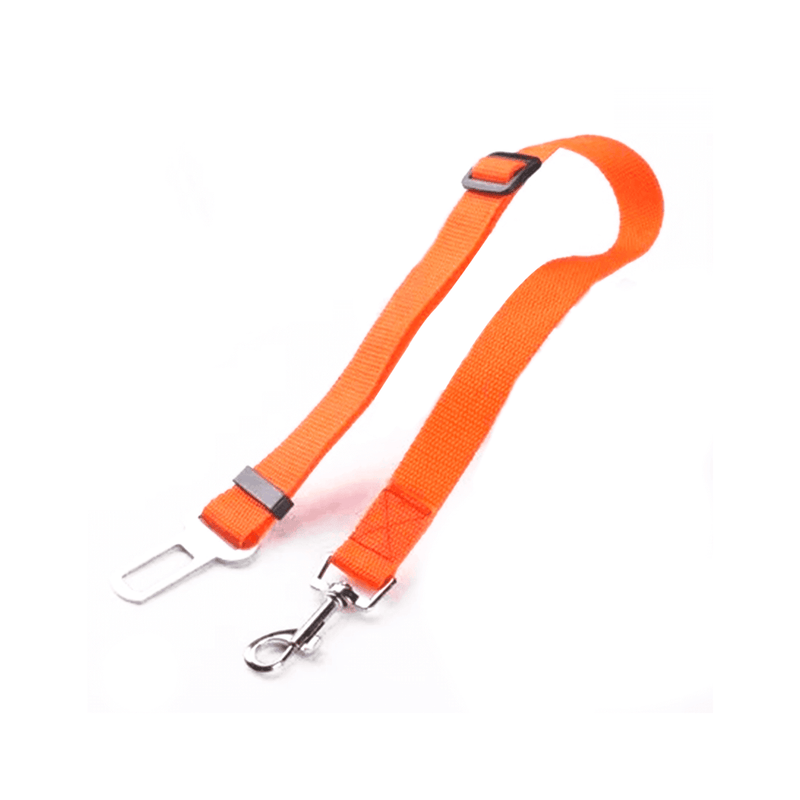 Coleira PetDrive - TravelPup™